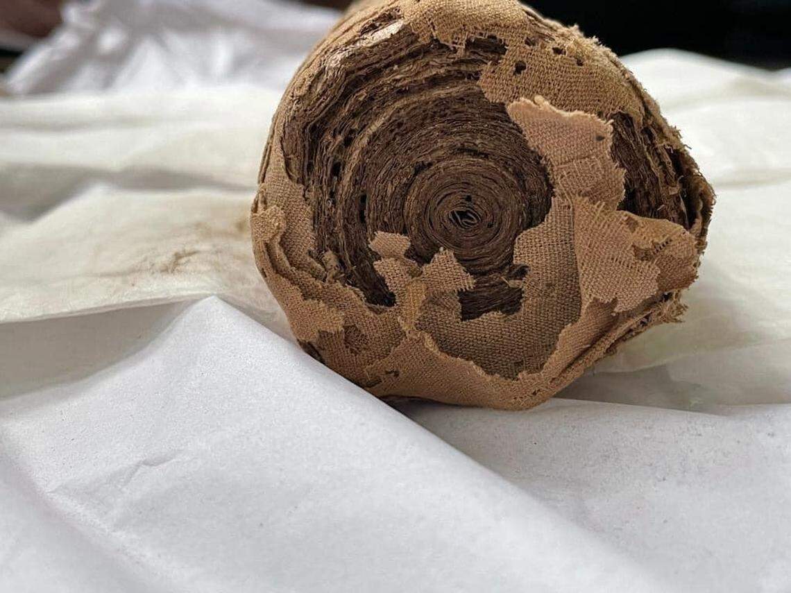 A view of the end of the unopened papyrus.