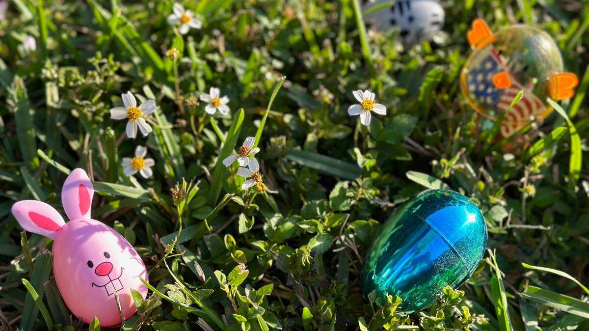 Will you be hunting Easter eggs in the sun or rain? What South Florida’s weather forecast says for Easter Sunday.