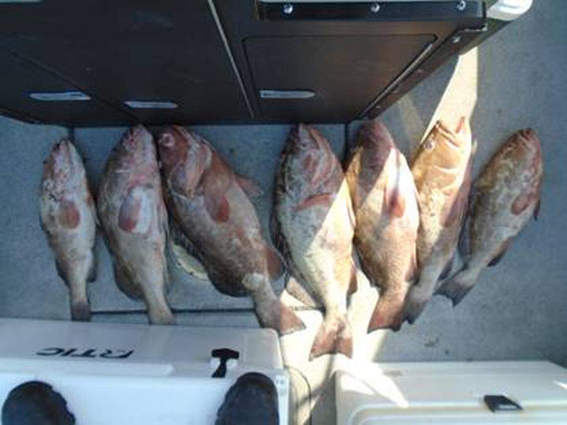 The Florida Fish and Wildlife Conservation Commission said it caught two groups fishing from separate boats in the protected waters of the Dry Tortugas on April 10, 2020.
