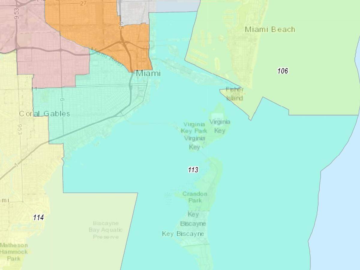 Florida House District 113