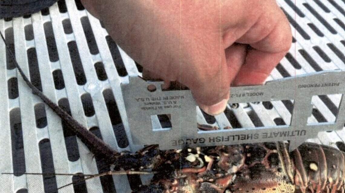 Canadian man is jailed after illegal Florida Keys lobster hunt, FWC says