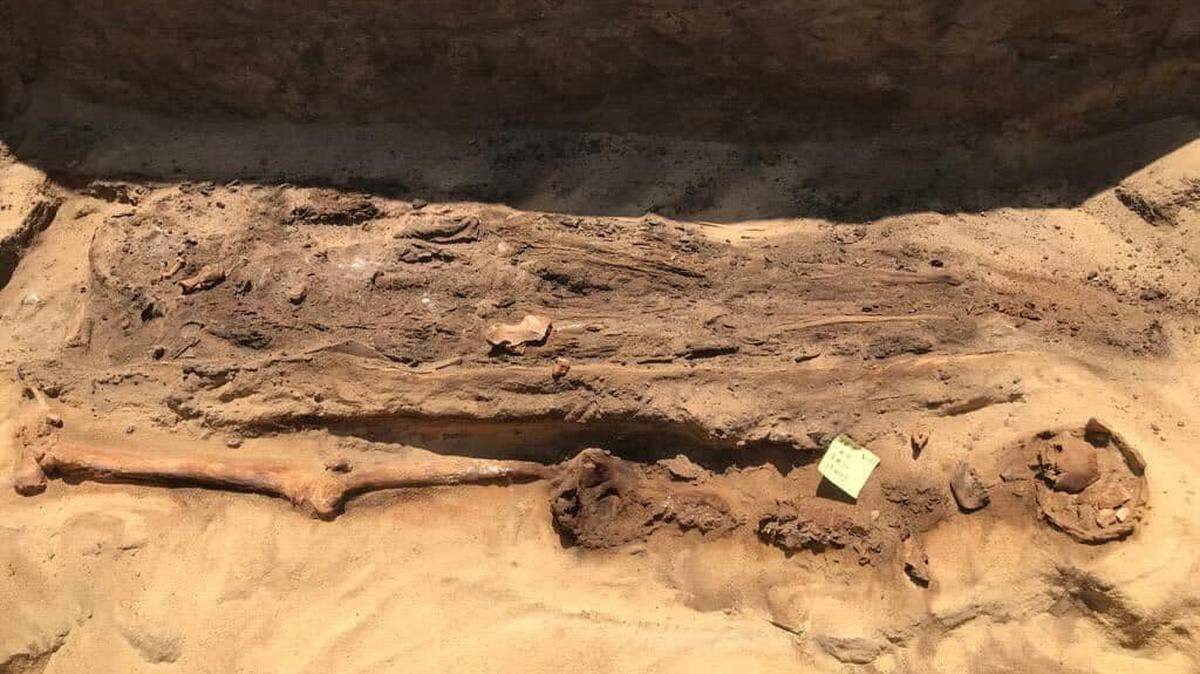 Archaeologists in Qewaisna excavated an ancient cemetery and discovered mummies with gold tongues, golden scarabs and funeral offerings.