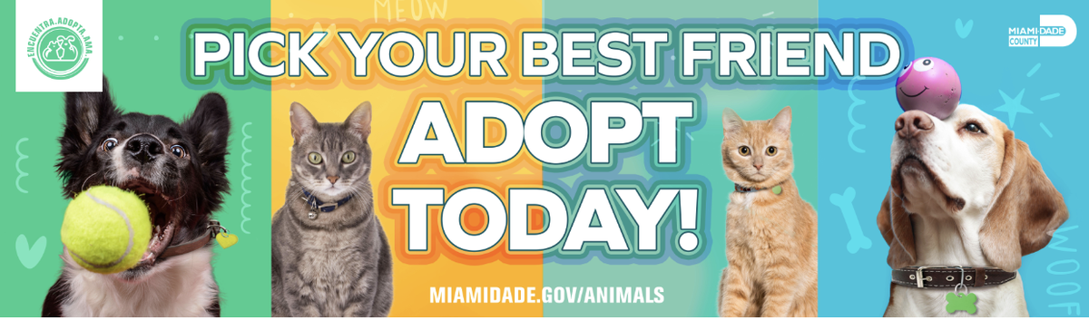 Photo courtesy of Miami-Dade Animal Services