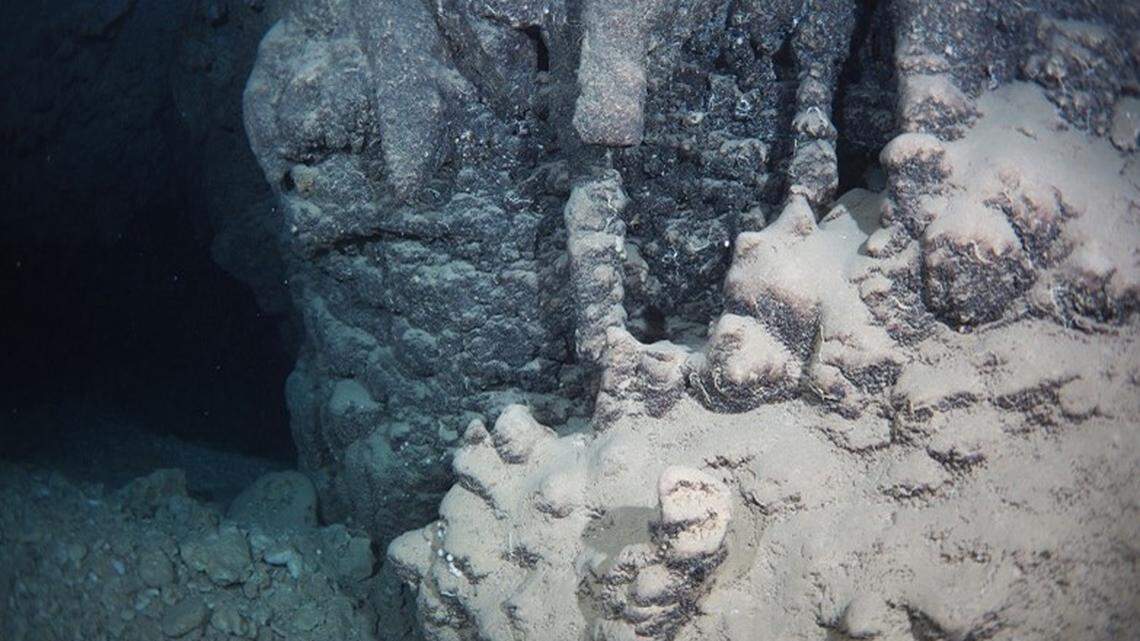 Researchers discovered a new species of hermit crab from a dark underwater cave in Japan, according to a new study.