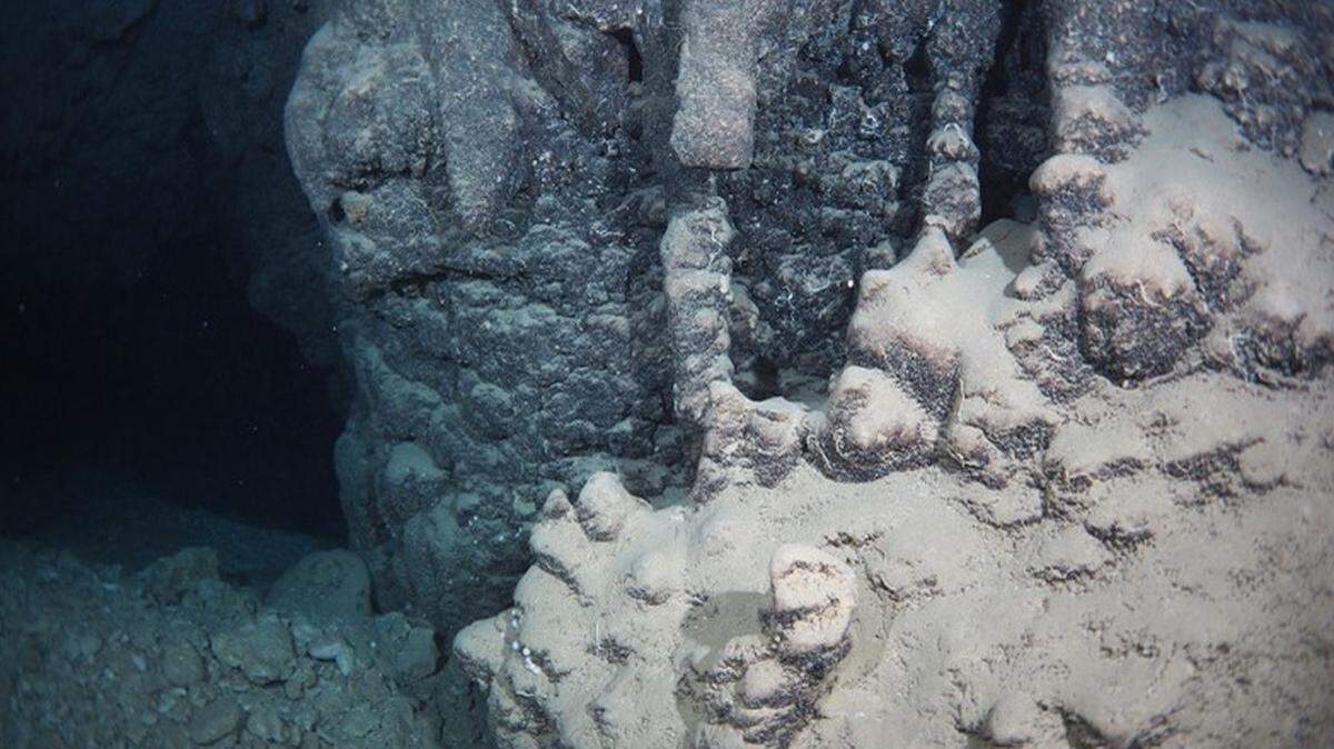 Researchers discovered a new species of hermit crab from a dark underwater cave in Japan, according to a new study.