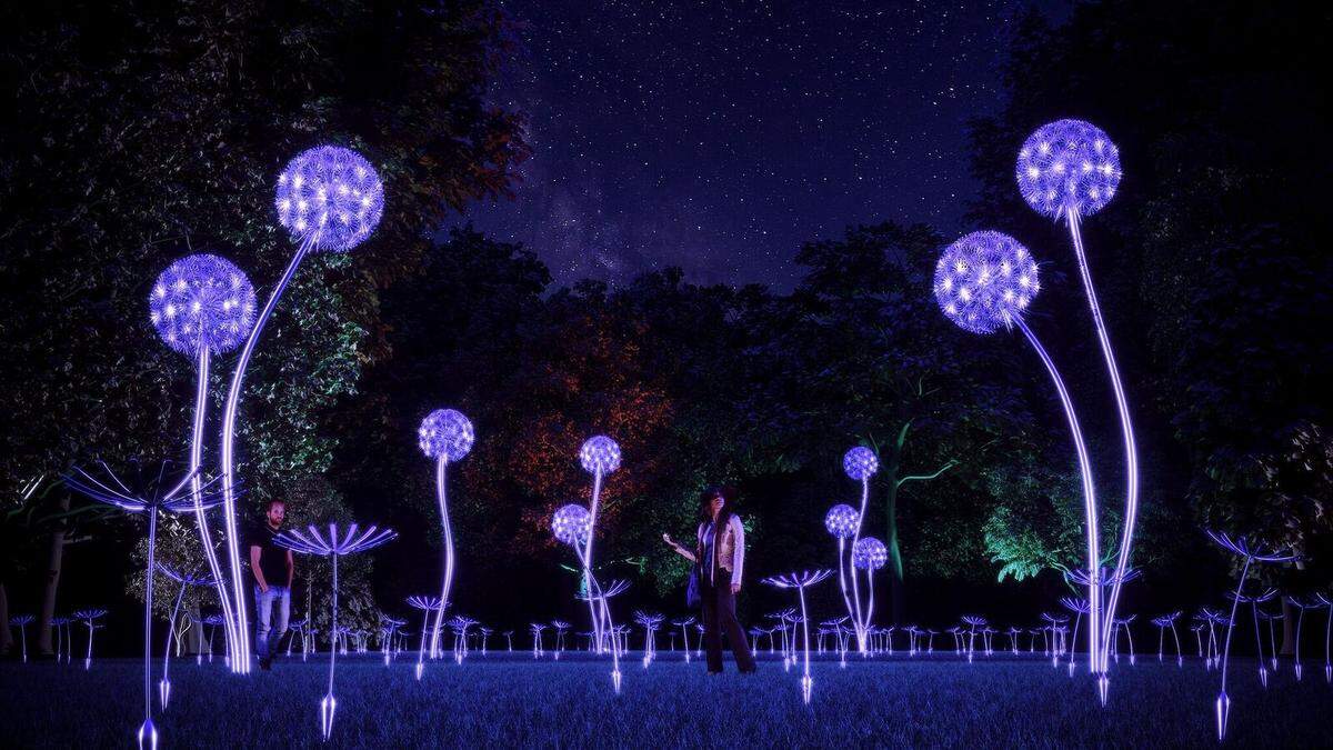 The NightGarden