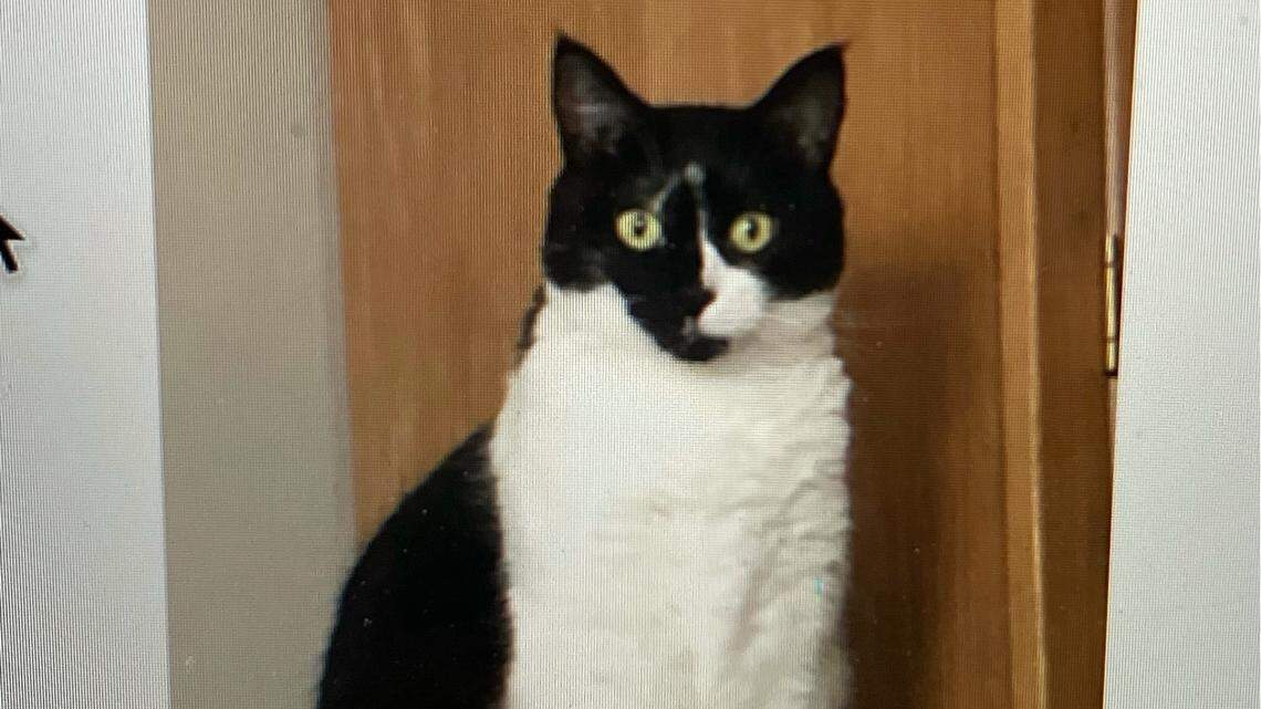 Rescuers placed food and water on the fourth-floor balcony of a damaged apartment at Champlain Towers South on Monday for Coco, who survived the collapse. She has not been rescued yet; the apartment is still unsafe for firefighters to enter.