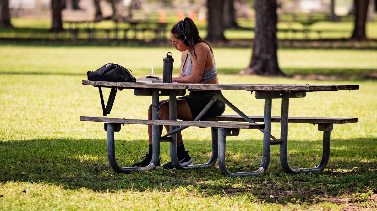 Parkgoer Marcy Fontora studies in the shade at Tropical Park on Wednesday, August 7, 2024 in Miami, Fla.