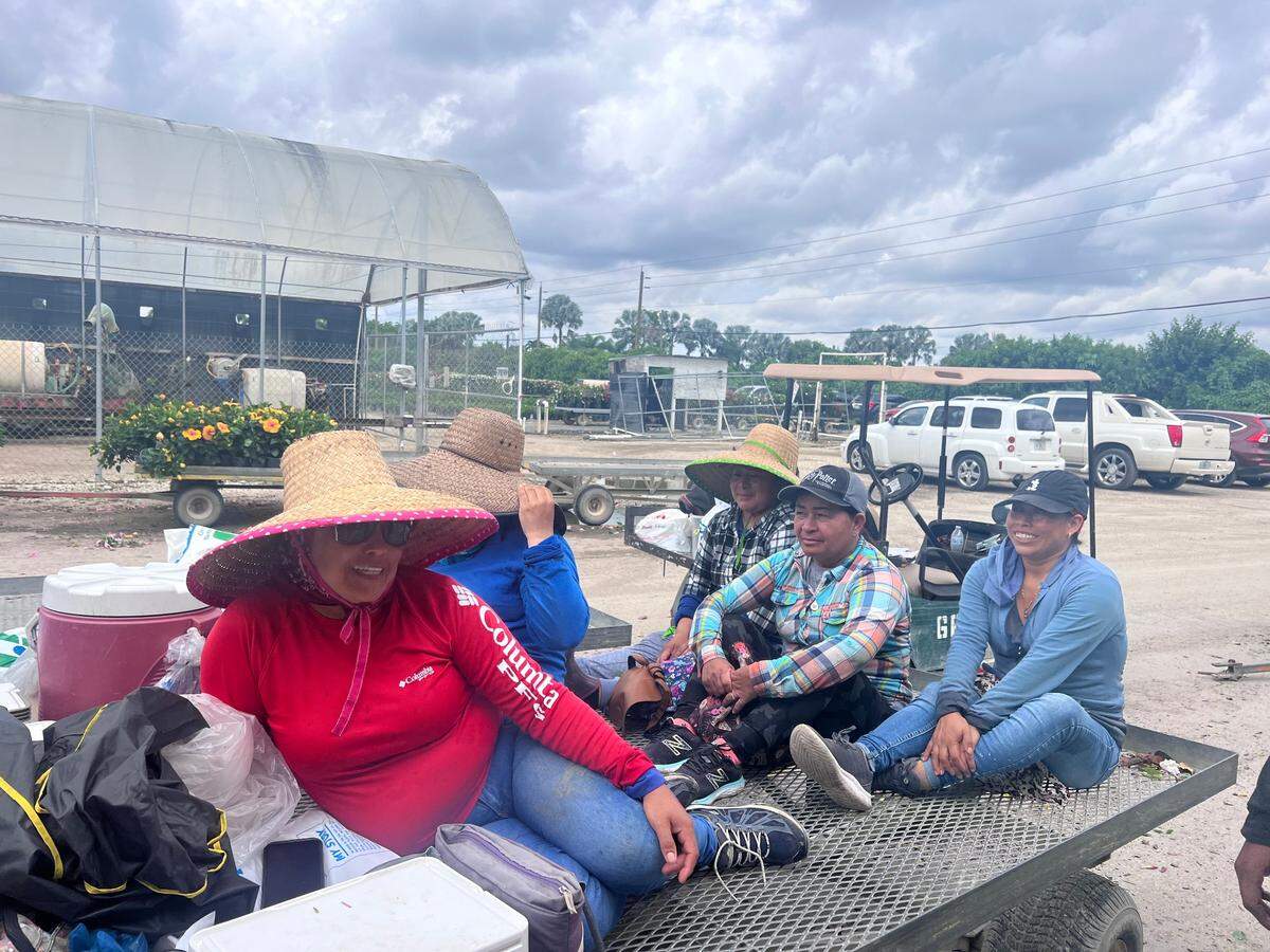 Un grupo de trabajadores sentándose en la parte trasera de un remolque luego de su pausa para comer, de vuelta a los campos.