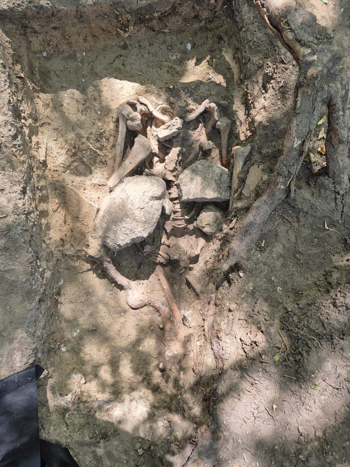 The man was buried with stones on his chest to stop him from coming out of his grave if he came back to life, archaeologists said.