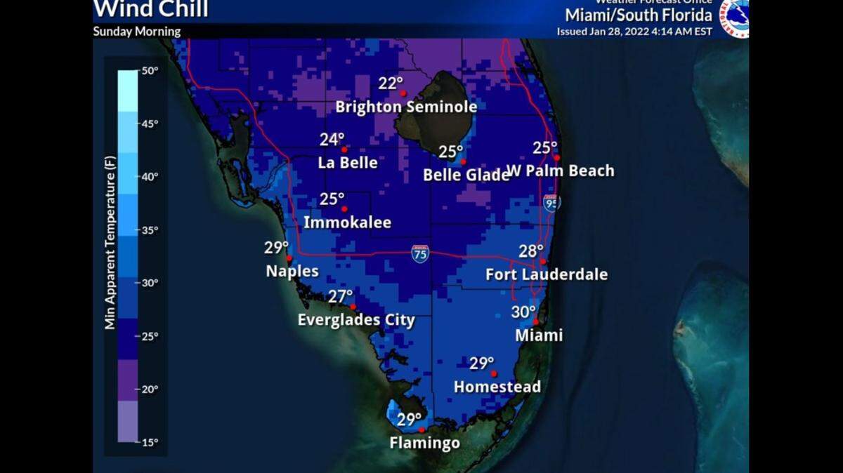 Se espera que la sensación térmica, lo que realmente se sentirá, caiga a poco menos de 30 grados F. en el sur de Florida y la mitad inferior del estado en la mañana del domingo 30 de enero de 2022, según el Servicio Meteorológico Nacional.