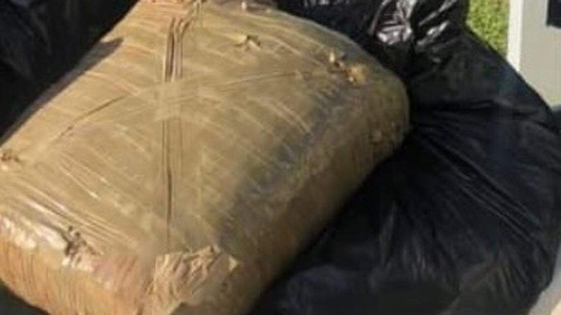 A 22-pound bale of marijuana sits among garbage student volunteers cleaned up in the mangroves of Islamorada in the Florida Keys Tuesday, April 23, 2019.