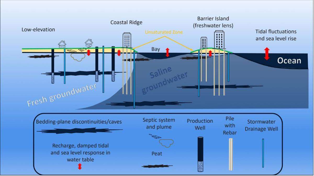 A graphic showing what we think it looks like underground in South Florida with rising sea levels and the deep foundation piles of tall coastal buildings.