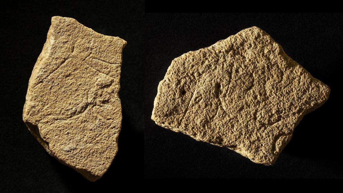 Archaeologists in Bellegarde found several stone slabs with engravings from early Magdalenian culture. Photos show the hard-to-spot horses.