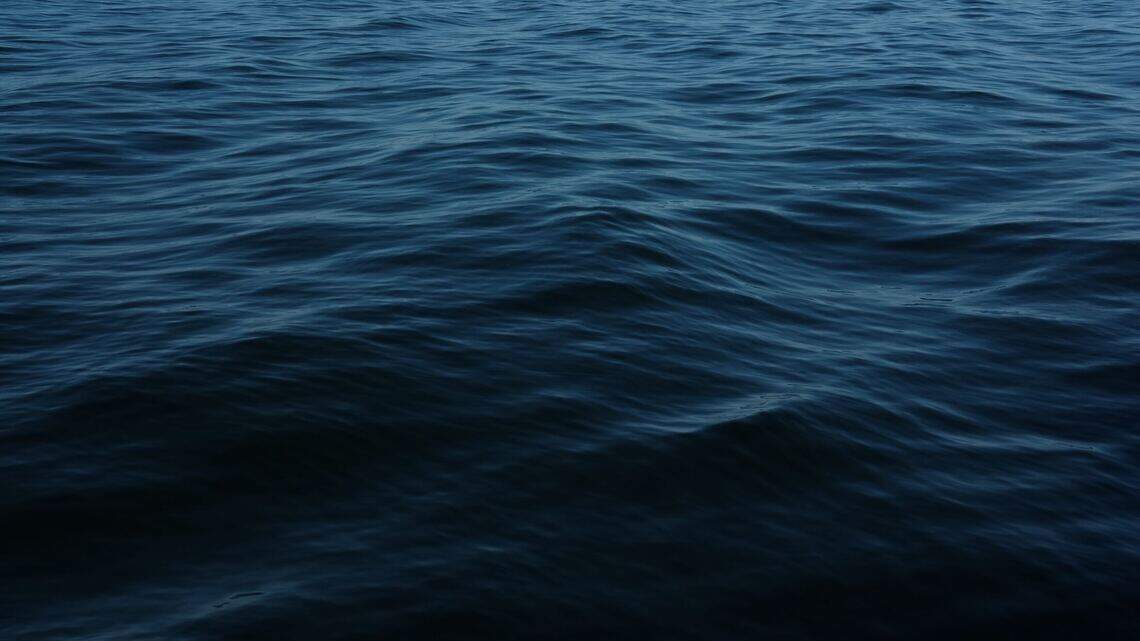 ‘Ghostly’ creature spotted in Scotland waters is a rare Arctic visitor. See video