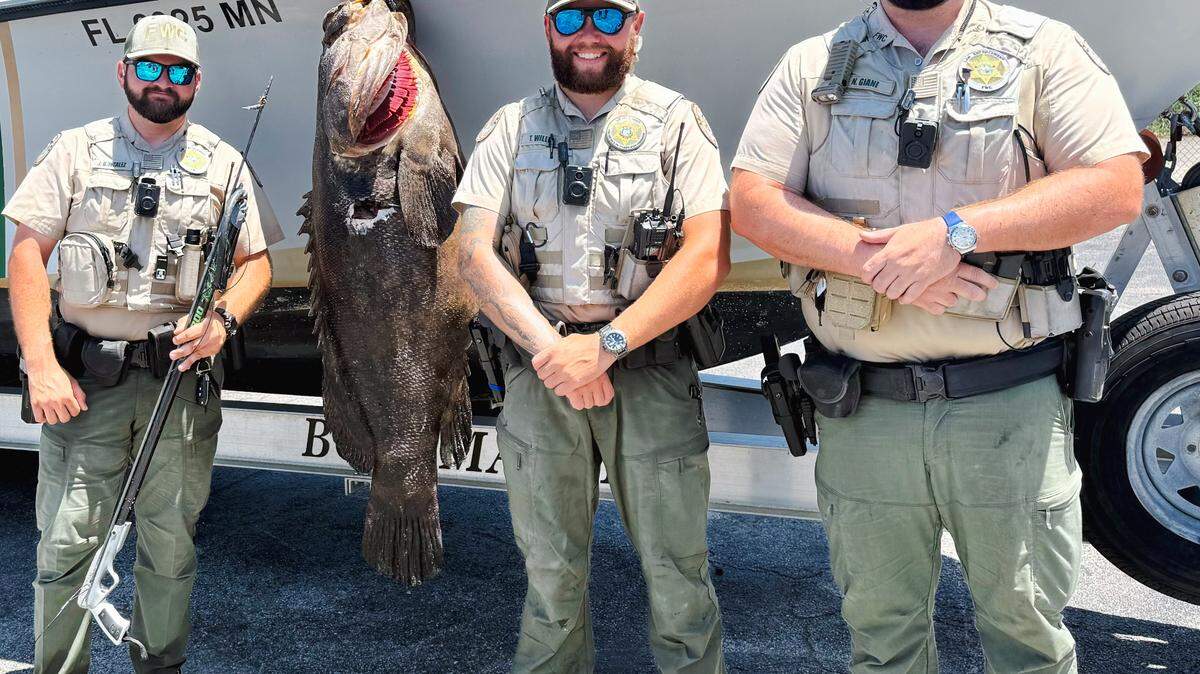 Florida Fish and Wildlife Conservation Commission officers stand next to a speared goliath grouper Monday, June 9, 2025. The FWC said a Pompano Beach man shot the fish and tried to conceal it from officers.