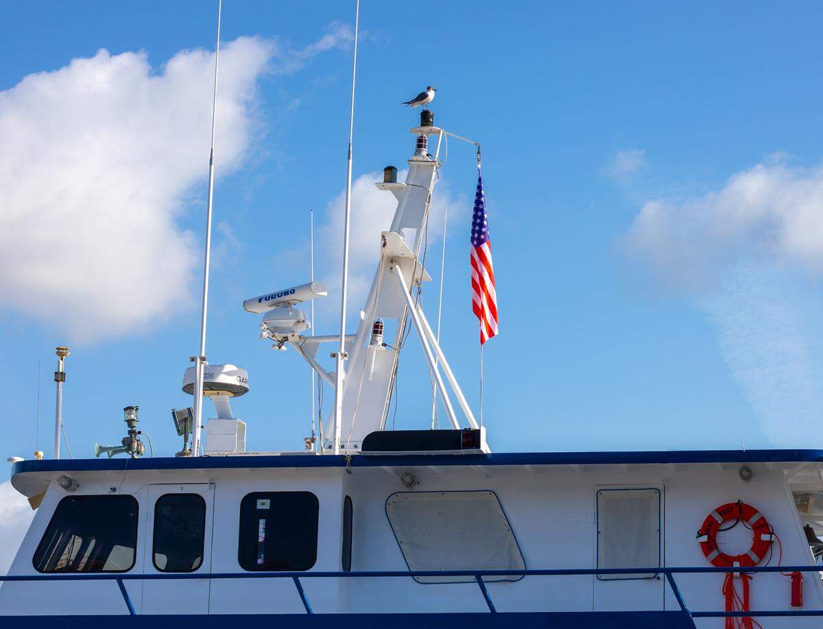 Bird sits on top of the Coral Reef II docked at the Miami River on March 13, 2024.