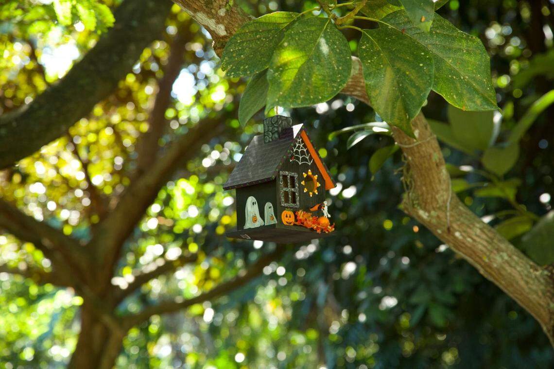 Kids can search for haunted birdhouses while adults sip craft cocktails and listen to the DJ at Fairchild Tropical Botanic Garden’s Halloween bash.