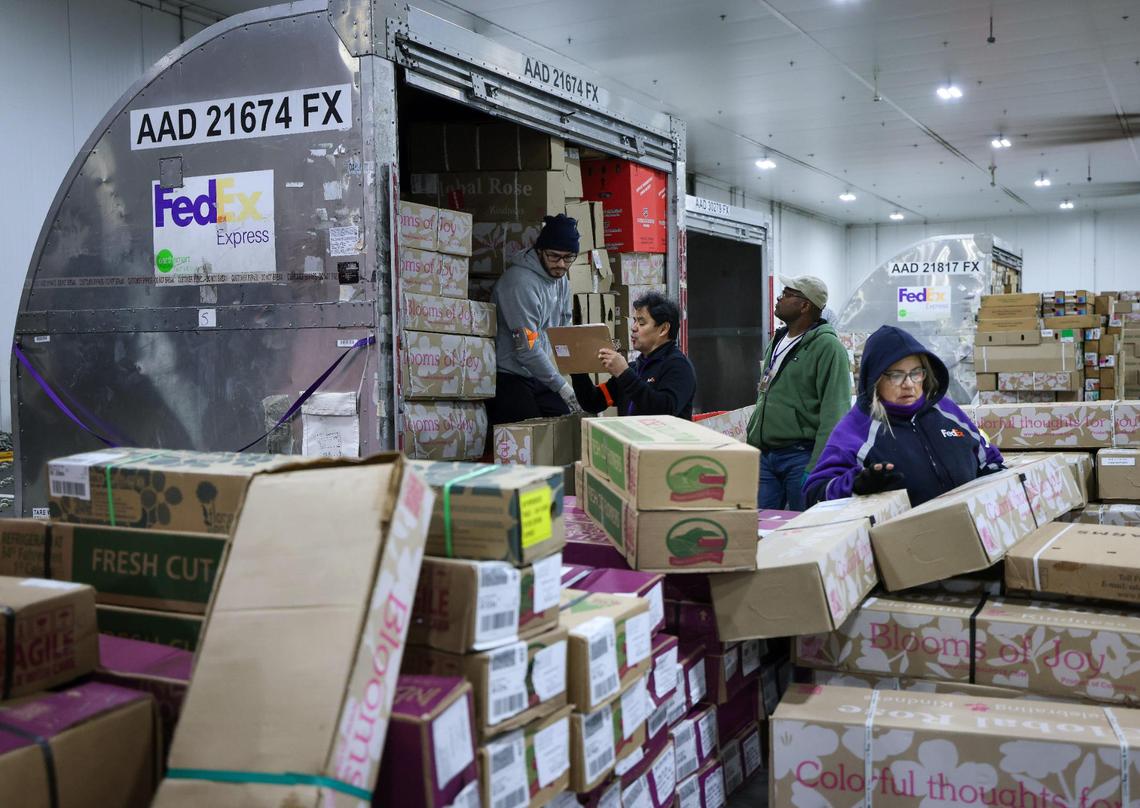 Inside the FedEx 70,000 square feet “Cold Room” workers remove thousands of boxes of flowers off of pallets as significant shipment of flowers from Colombia and Ecuador arrived at the FedEx Cargo Hub at Miami International Airport, as local florists and distributors prepare for Valentine’s Day on February 12, 2025. Notably, only 2% of the shipments are inspected by U.S. Customs Agricultural Specialists in order to ensure pest management and the quality of floral and plant shipments.