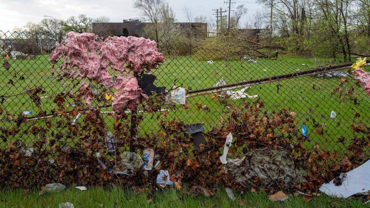 Tornadoes Tear Apart Michigan Dairy Farm and Cows Escape