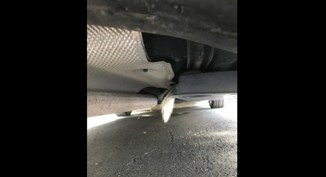 Driver stops BMW on Florida road to avoid hitting skunk and the rodent responded by hiding in the car’s engine, deputies say.