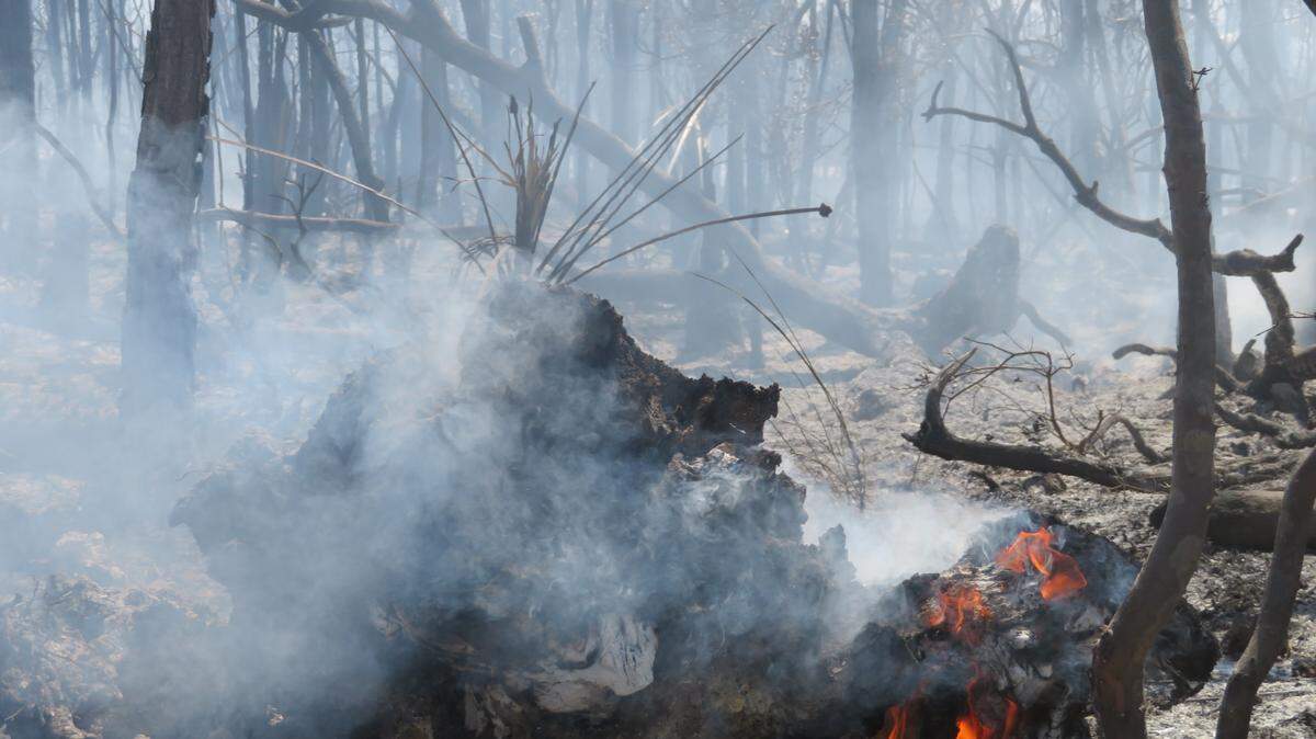 Embers from the Big Pine Key brush fire continue to smolder on Tuesday, two days after the fire broke out. Only 50 percent of the fire is contained, authorities said Tuesday.