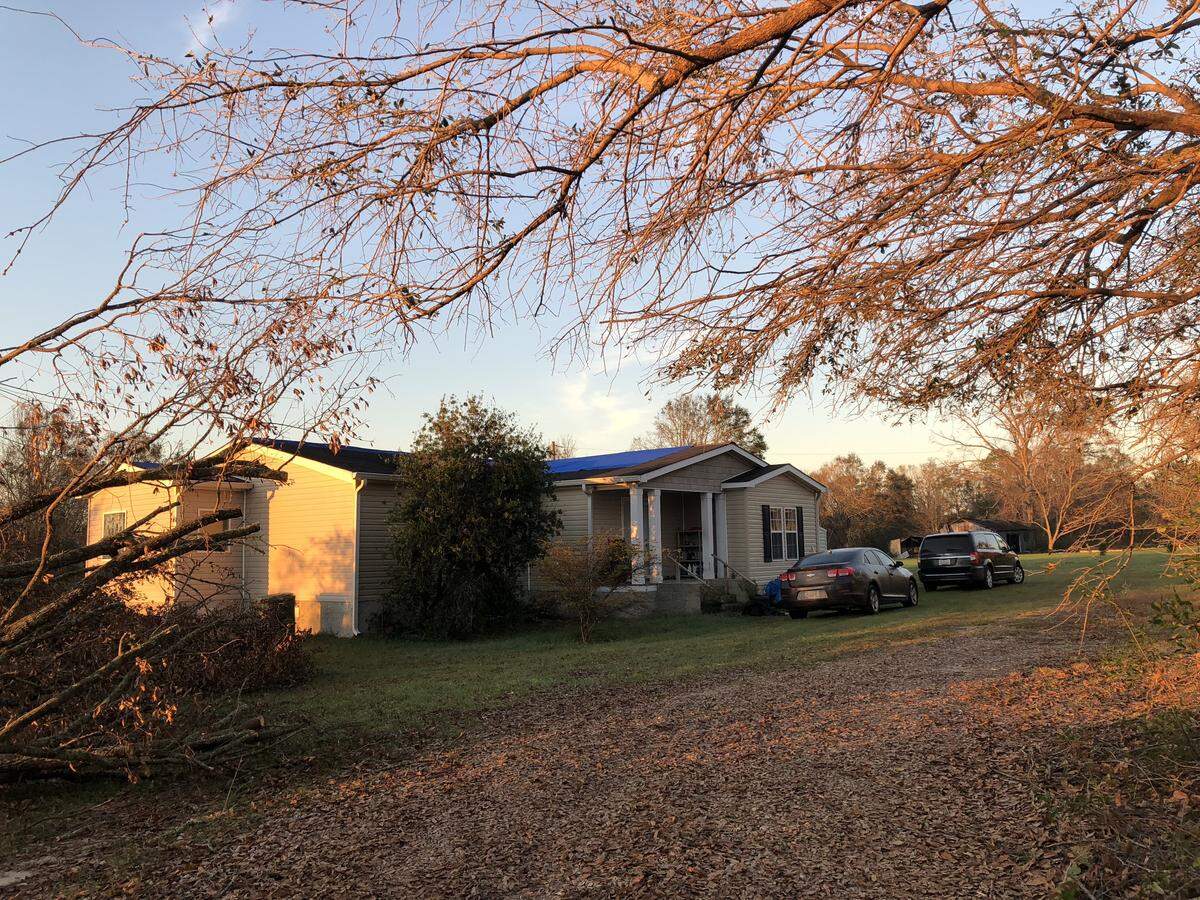 Kelley Scott, the director of Administrative Services at the Florida Department of Highway Safety and Motor Vehicles, was investigated by the department for allegedly directing state employees to help clear trees from her private property in Colquitt, Georgia.