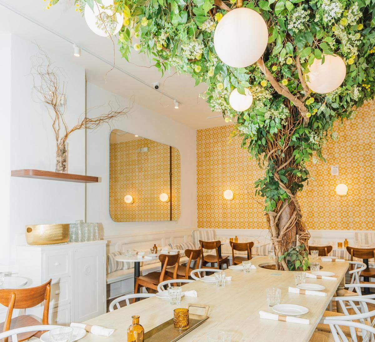 Yes, that’s a real tree growing through the table at Motek restaurant in Aventura.