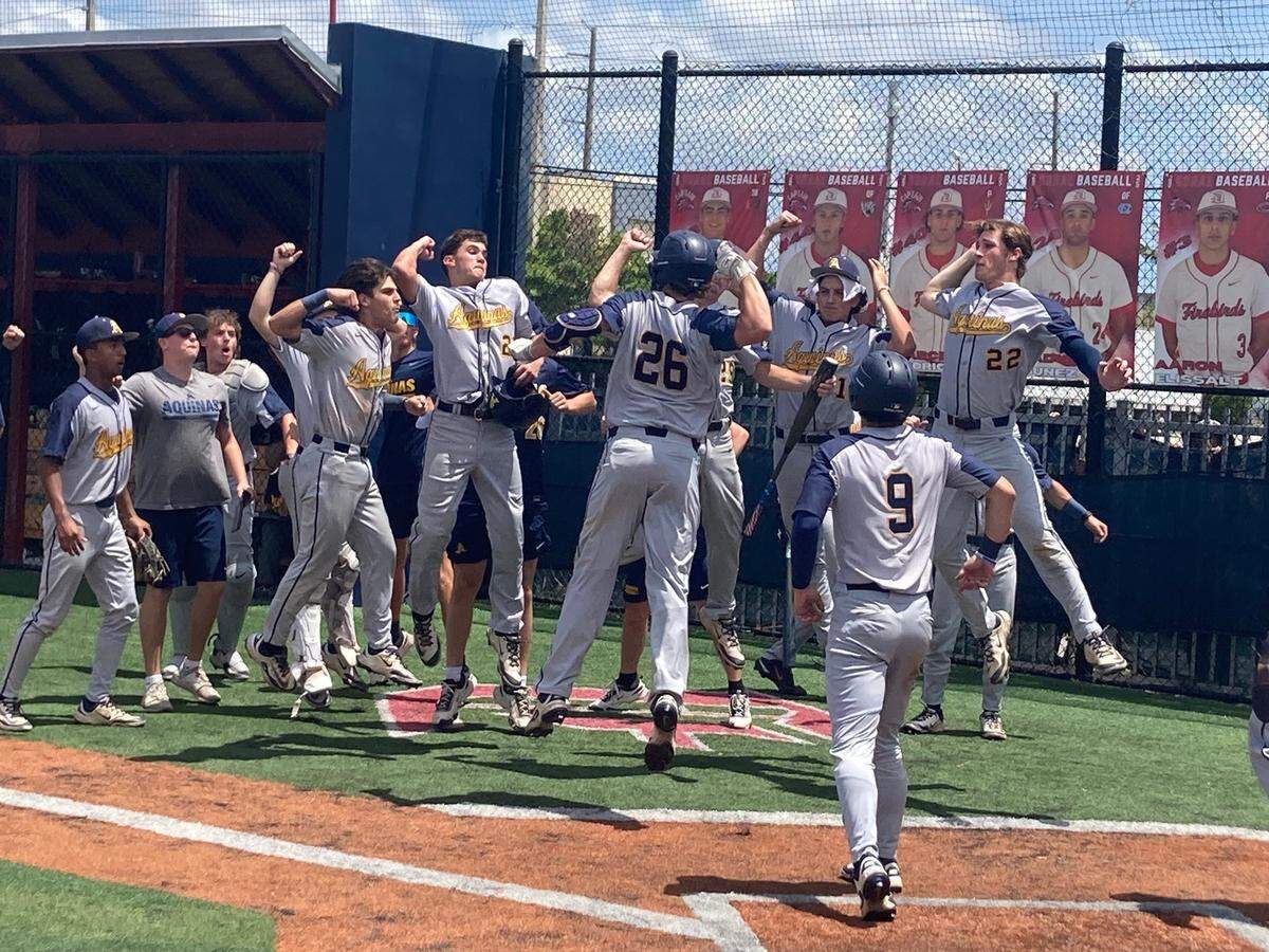 Brady Buxbaum (26) celebrates with his St. Thomas Aquinas teammates following his fourth inning, three-run homer that staked the Raiders to a 9-4 lead over Doral on Saturday in game three of the Region 4-6A final.