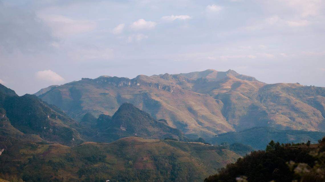 In the mountains of Vietnam, two creatures are indistinguishable from the entangled forest branches.