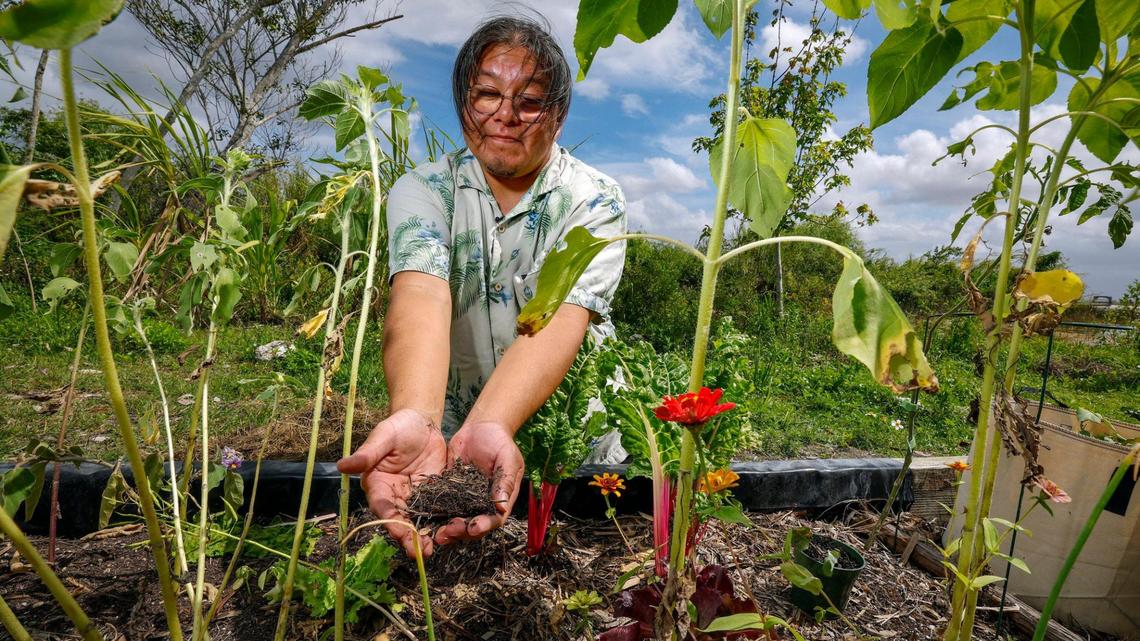 Rev. Houston Cypress, with Love the Everglades Movement, picks up a handful of soil while visiting a Miccosukee Tribe garden on Tuesday, March 4, 2025. The garden will soon benefit from a grant that will bring municipal compost into the Everglades.