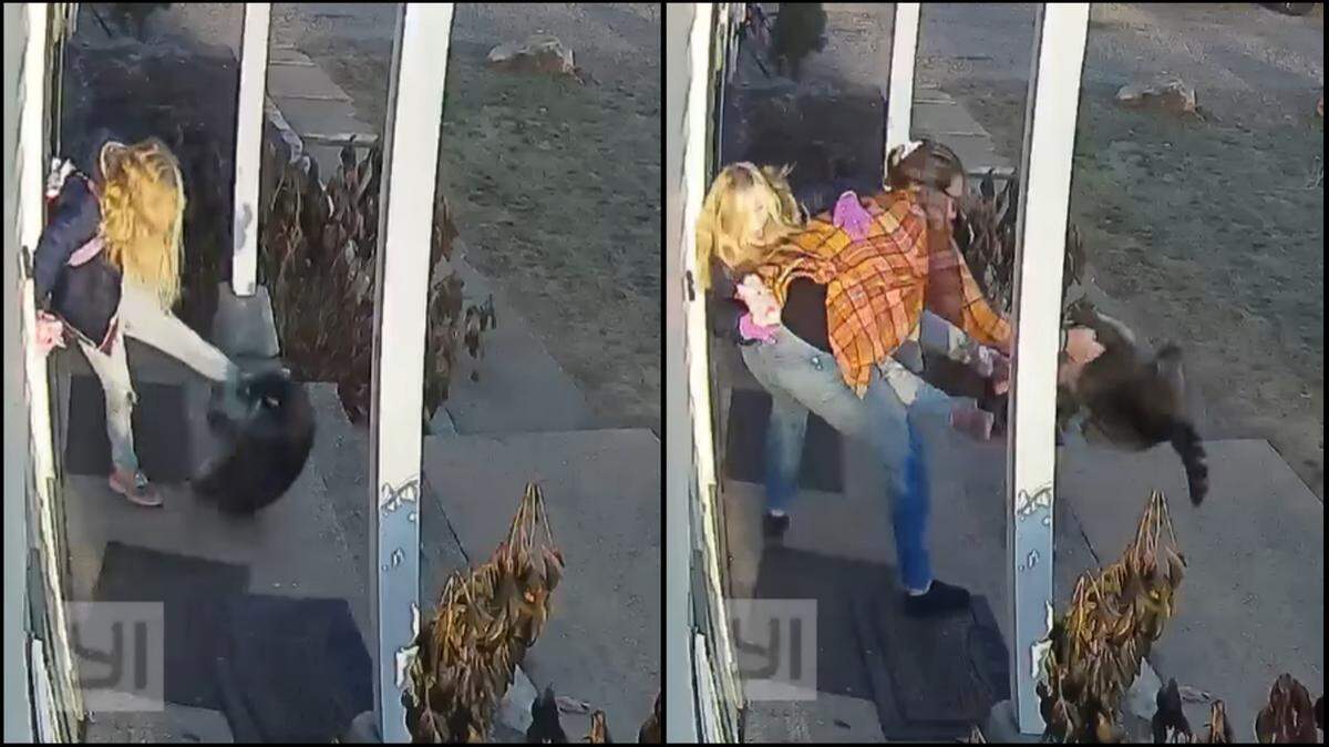 A raccoon in Canterbury attacked a girl on her front porch and would not let go, video shows. Her mom pulled the raccoon off and threw it.