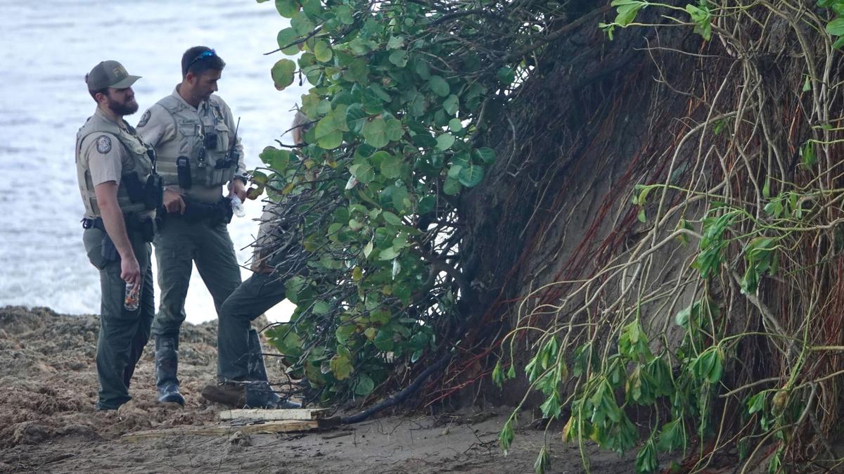 Empleados de la Comisión de Conservación de la Pesca y la Vida Silvestre de Florida vigilan la zona en la que se descubrieron el jueves antiguos restos humanos por el oleaje del huracán Nicole en una playa del Condado Martin. (Joe Cavaretta/South Florida Sun Sentinel)