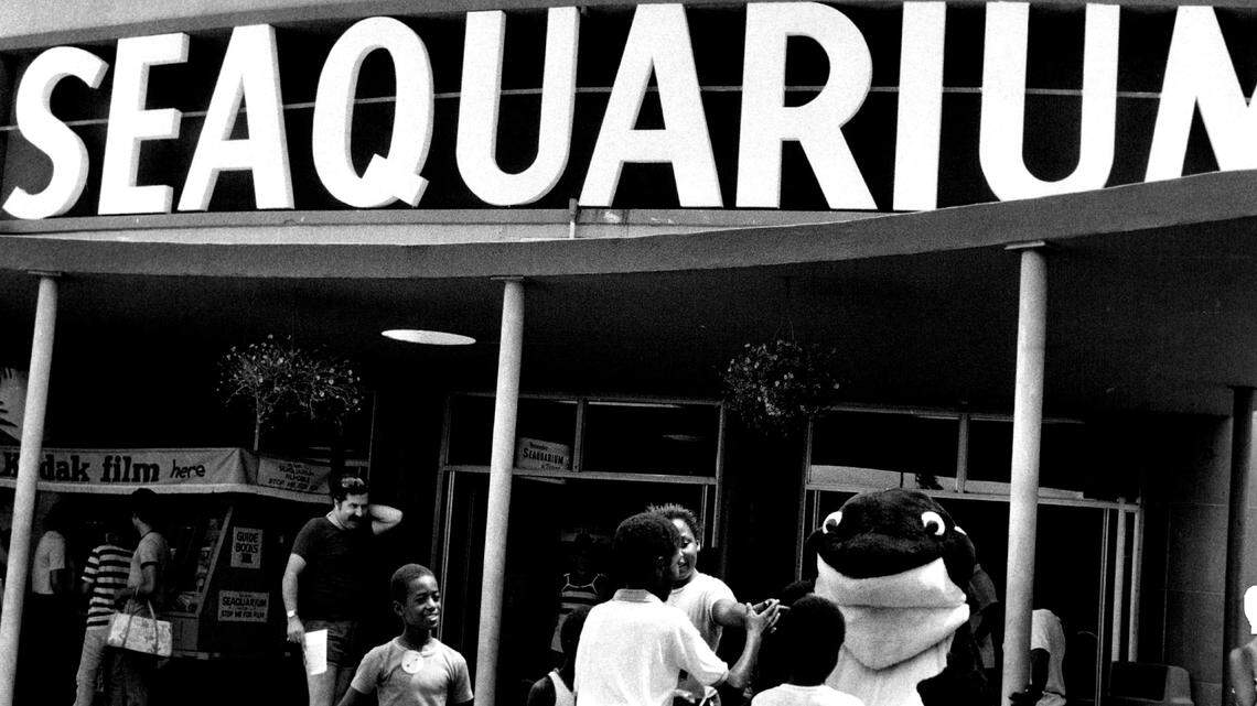 When is Miami Seaquarium closing? What about the animals? See the plans