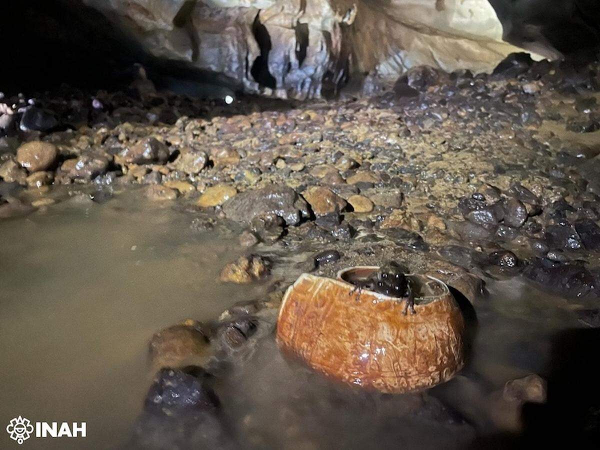 Bracelets made from shell were discovered with engraved exteriors.