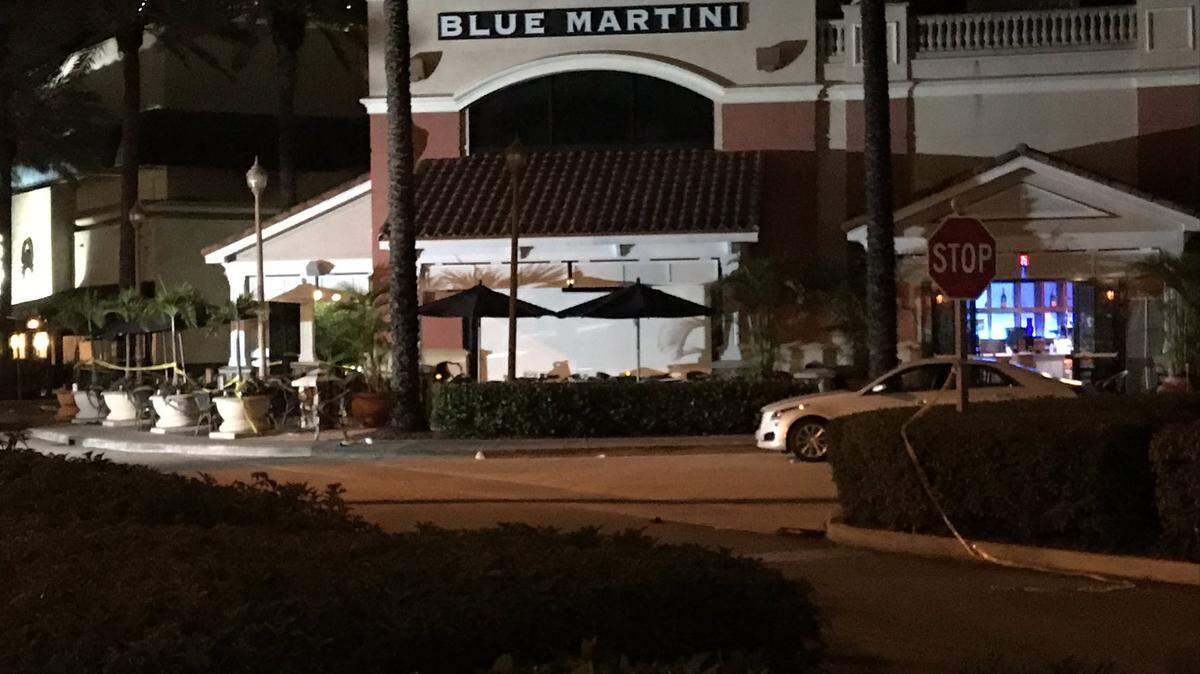 A shooting at the Blue Martini lounge at The Galleria mall in Fort Lauderdale left one person dead and two injured late Wednesday, police said.