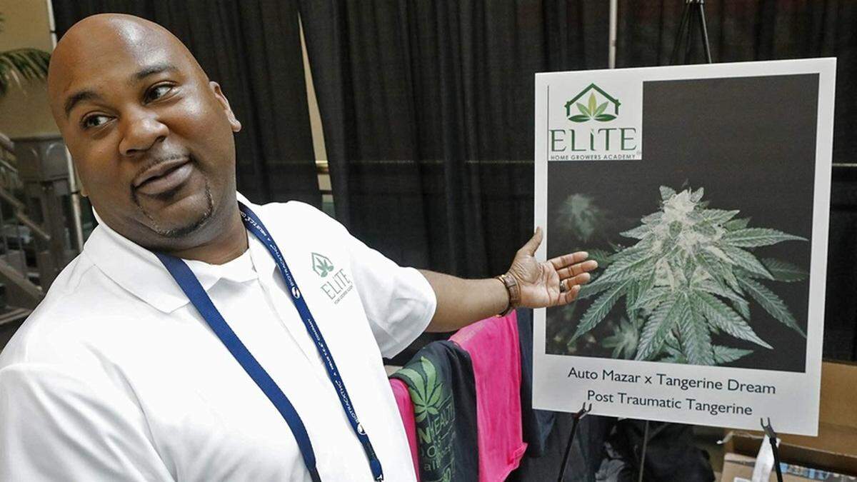 Zachery Post shows a strain of marijuana that he developed, at a cannabis expo in St. Louis this year.