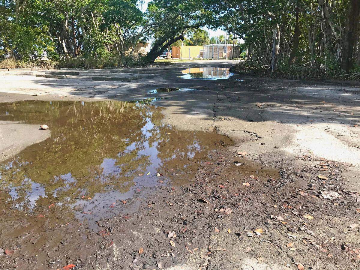 Parking lot flooding is a common problem at bayfront Matheson Hammock Park.