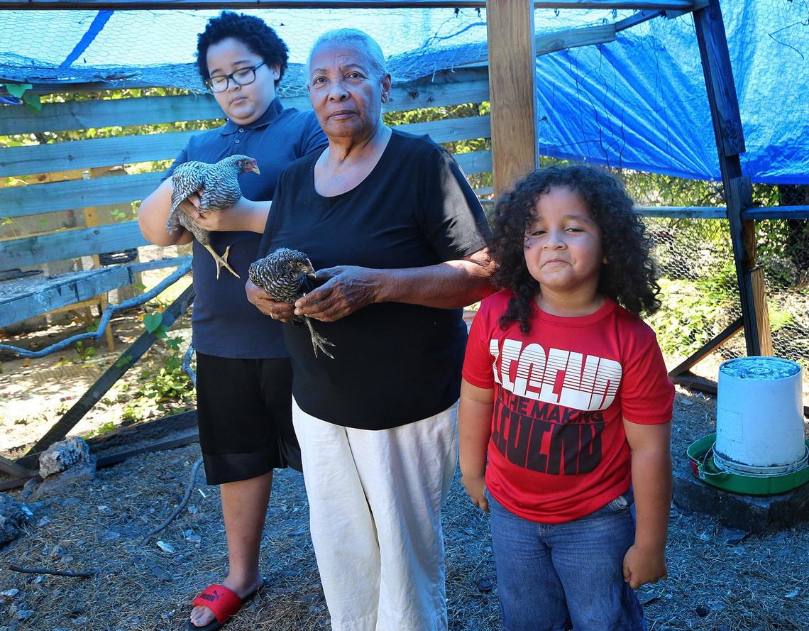 Asuncion Felipe posed with her grandsons Saiid Marte, left, and Ishaan Marte, holding chickens in the backyard that belong to her daughter and their mother, Rosa Felipe, a Jackson Hospital healthcare worker who was one of the first to contract COVID-19 and remains in the hospital.