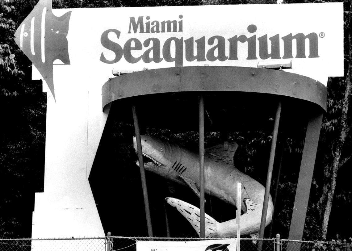 Revolving shark for the Seaquarium.