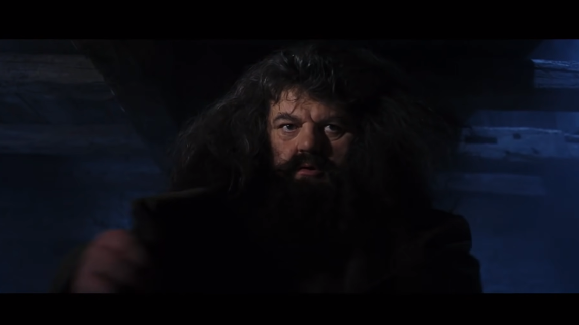 Robbie Coltrane played Rubeus Hagrid in the “Harry Potter” series.