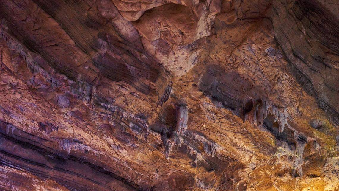 Researchers discovered a new species of cave-dwelling shrimp in China, according to a new study.