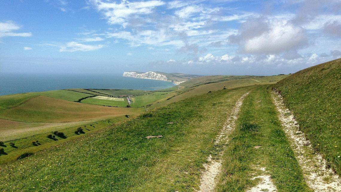 Along the white cliffs of the Isle of Wight in southern England, a new prehistoric species was discovered.