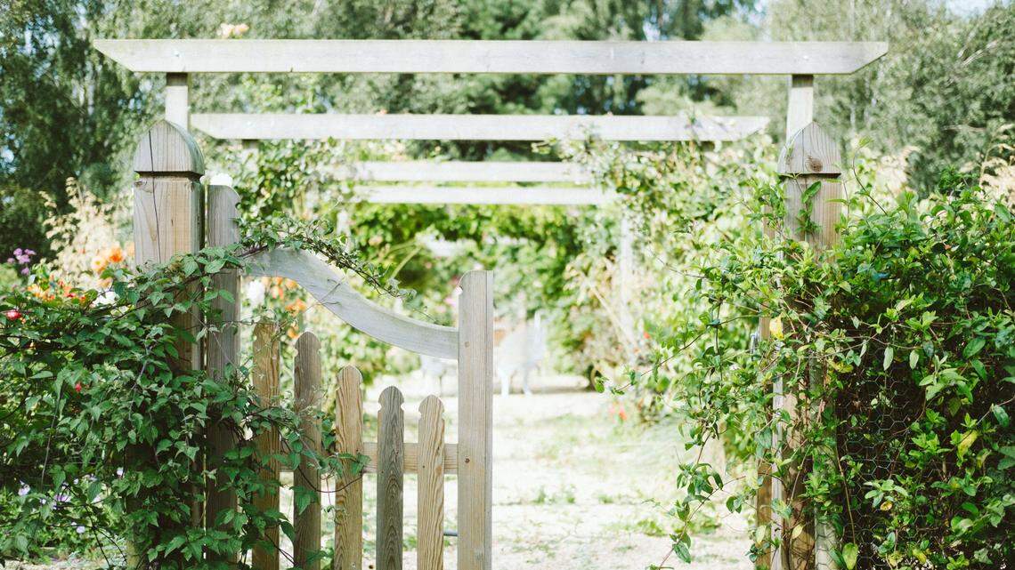 A woman in Stirlingshire found a butterfly in her garden, the area’s first sighting of the species in 100 years, wildlife experts said.