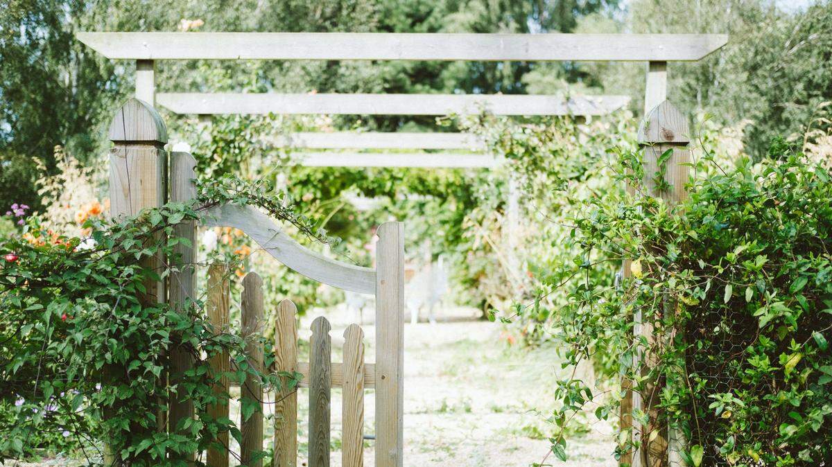 A woman in Stirlingshire found a butterfly in her garden, the area’s first sighting of the species in 100 years, wildlife experts said.