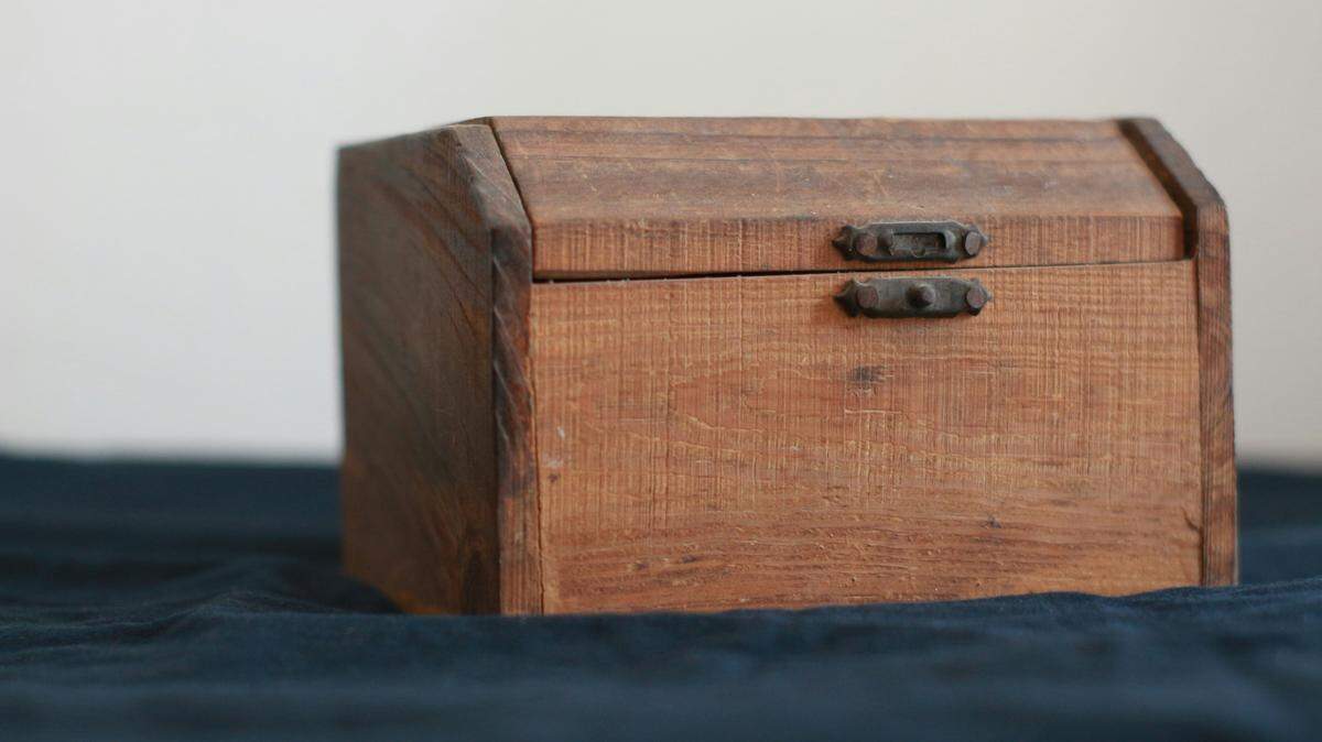 A “mystery” box (not pictured) held the bones of a species new to science in Florida.