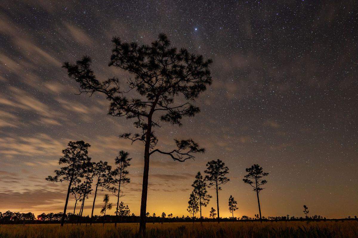 This photo by conservation photographer Carlton Ward Jr. is of the night sky at DeLuca Preserve, which is far removed from city lights.