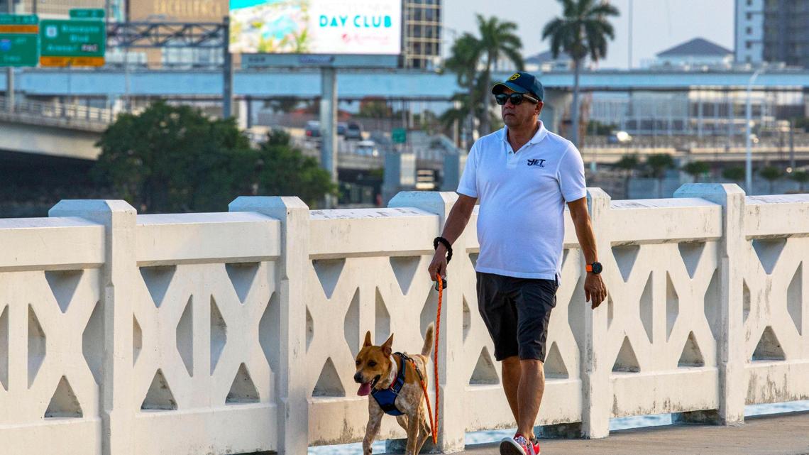 The Venetian Causeway toll bridge would get a private operator under a plan by Miami-Dade County to privatize the Venetian and Rickenbacker causeways.