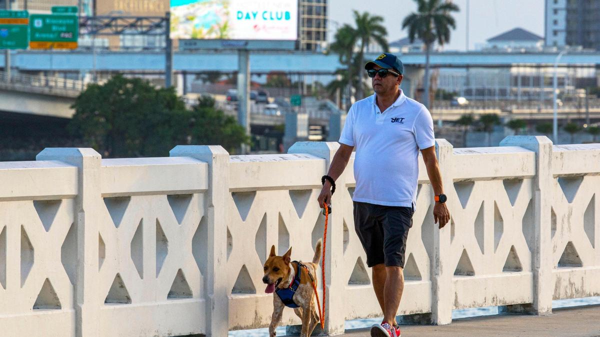 The Venetian Causeway toll bridge would get a private operator under a plan by Miami-Dade County to privatize the Venetian and Rickenbacker causeways.