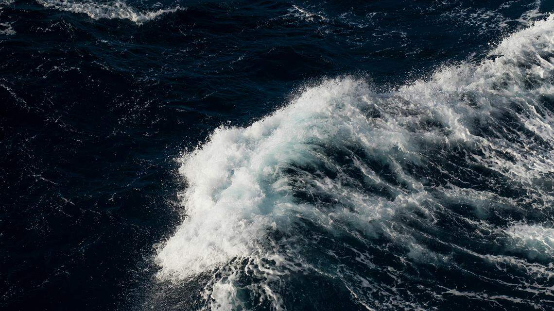 In the deep sea near the Mariana Trench and Hawaii, a new “Star Wars”-like species was discovered.